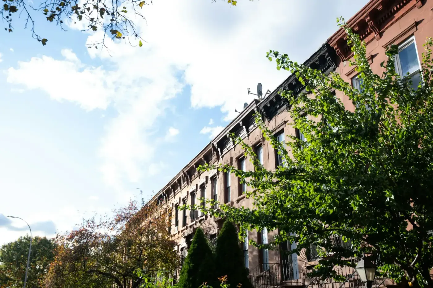 Tax Compliance Essentials for Nonprofit Organizations
